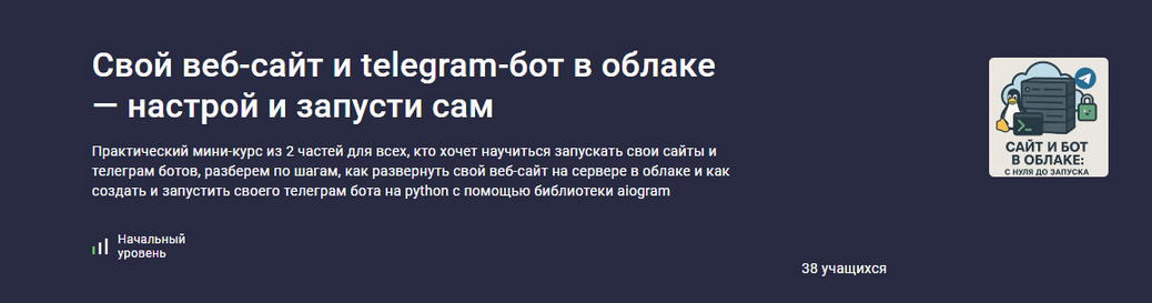 [Ринат Минязев] [Stepik] Свой веб-сайт и telegram-_0.png